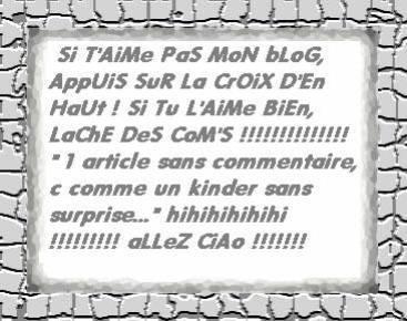 Si t'aime pas mon blog ...